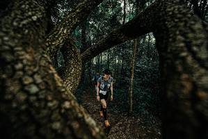 BIB: 
                            <button type="button" onclick="openModal(25673620)" class="btn btn-primary btn-sm float-right btn-popup" data-toggle="modal" data-target=".modal-high-quality">
                        <i class="fas fa-shopping-cart"></i> Add to Cart
                    </button>
                                            <button type="button" onclick="isThisMe(25673620, true)" class="btn btn-success btn-sm float-right btn-popup btn-isme hidden" data-toggle="tooltip" data-placement="bottom" title="นี่คือรูปของคุณใช่ไหม คลิกที่นี่เพื่อเอาเข้าอัลบั้ม">
                        <i class="fas fa-plus"></i> Add to album
                    </button>
                    <button type="button" onclick="isThisMe(25673620, false)" class="btn btn-warning btn-sm float-right btn-popup btn-isnotme hidden">
                        <i class="fas fa-ban"></i> Remove from album
                    </button>